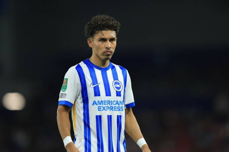 罗马诺&迪马:克雷莫纳租借布莱顿边锋萨米恩托 球员可能今晚抵意